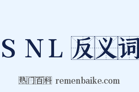 SNL反义词是什么意思的图片